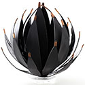 Perspex plants