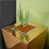 Copper plant pots
