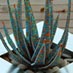 Stainless steel pot with bead cactus