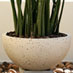 Bubble pot