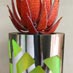 Round stainless steel planters with perspex inlay
