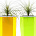 Obbligato perspex planter