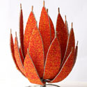 Decorative bead plants