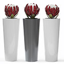 Obbligato round planters