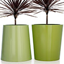 Obbligato Cone Planters