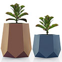 HEX Planters