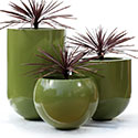 Obbligato BubbleX planters