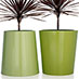 Obbligato Round Cone planter