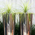 Stainless steel round planters