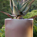 Stainless steel A Range plant pot