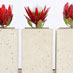 D range fibreglass planters with stucco finish