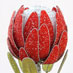 bead proteas