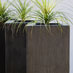 D range fibreglass planters with stucco finish