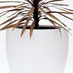 Fibreglass round planter F800_W