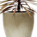 Obbligato F800_W fibreglass planter