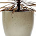 Obbligato F800_W fibreglass planter