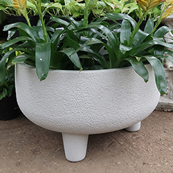 JAPI_Rustic-l-w-legs