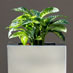 Stainless steel A Range plant pots